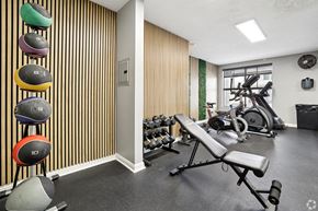 Valley Village apartment for rent - A gym with a variety of equipment including dumbbells, a bench, and a treadmill.