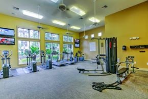 Houston apartment for rent - the fitness center at stone creek at old farm in houston texas at Stone Creek at Old Farm Apartments, Houston, 77063