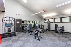 Norcross apartment for rent - the gym at the preserve at johnsons crossing apartments