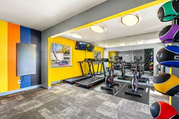 The gym 