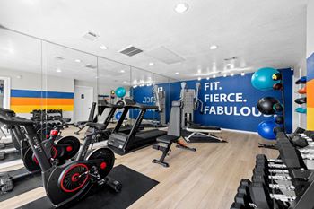 State of the art fitness center equipped with echelon machines