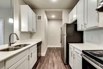 Newly renovated apartments