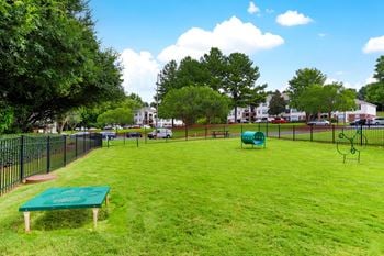 Bark park