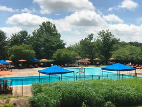 Silver Spring apartment for rent - A pool surrounded by trees and umbrellas.