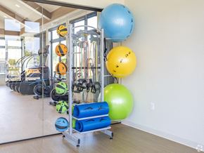 Aberdeen apartment for rent - a gym with a bunch of exercise equipment and balloons