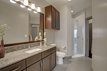 Walk-in showers