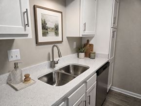 Louisville apartment for rent - A kitchen with a white countertop and a painting hanging above the sink.