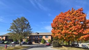 Louisville apartment for rent - A tree with orange leaves stands in front of a brick building.