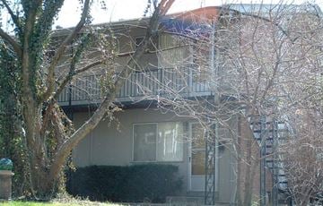 Louisville apartment for rent - A tree in front of a building with a balcony.