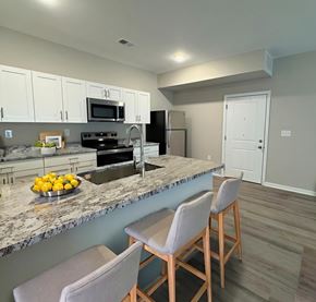 Louisville apartment for rent - A kitchen with a marble countertop and a bowl of lemons on it.