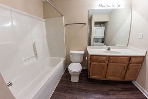 Louisville apartment for rent - a bathroom with a toilet and a sink and a bath tub
