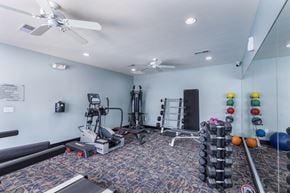 St.Louis townhouse for rent - a gym with weights and cardio machines and a ceiling fan at Aventura at Forest Park, Missouri