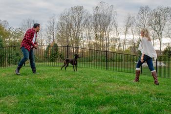 Dog park
