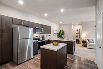 Kitchen and living room