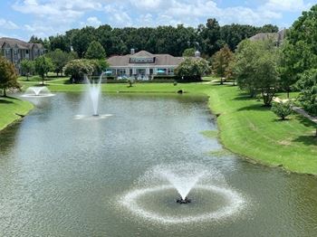 Pond for fishing