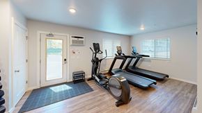 Howard apartment for rent - A home gym with a treadmill, elliptical trainer, and stationary bike.