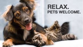 Green Bay apartment for rent - Pet Friendly!