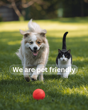 Green Bay apartment for rent - A dog and a cat are running together in the grass with a ball.