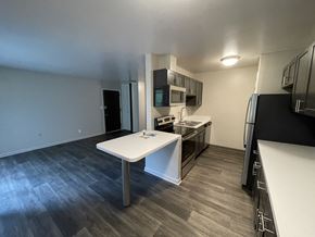 Kalamazoo apartment for rent - Renovated Kitchen and Living Space
