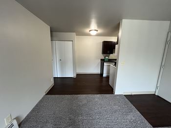 Wood-look vinyl flooring