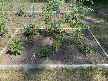 Community garden