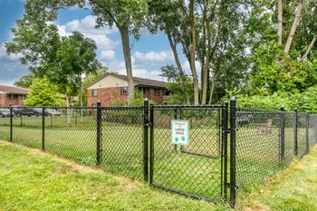 Dog park