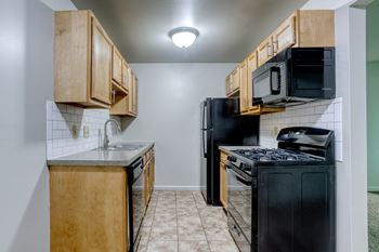 Variety of kitchen styles