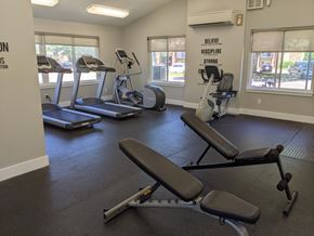 Grand Rapids apartment for rent - A gym with treadmills, exercise bikes and a bench.