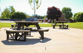 Bbq/picnic area