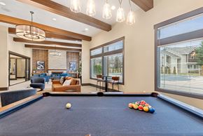 Kennewick apartment for rent - A pool table with a white ball and some colorful balls on it.