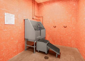 Pet washing station