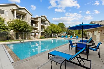 Sparkling swimming pool and spa