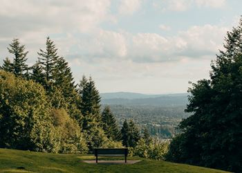 80 Miles of hiking trails start less than a mile away