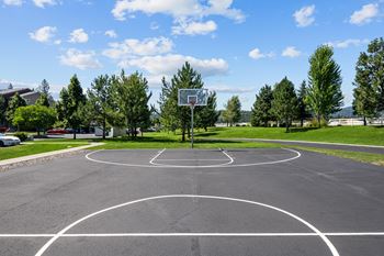 Basketball court