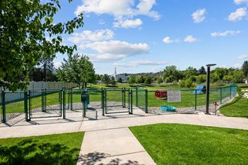 One-acre dog park