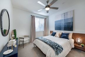 Reno apartment for rent - Light-Filled Rooms