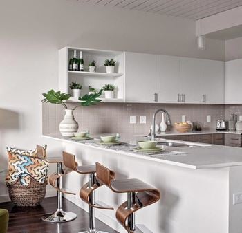 Quartz countertops + tile backsplashes
