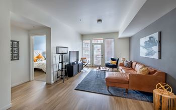 Large, energy-efficient, dual-pane windows