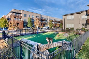 Pet park