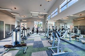 Englewood apartment for rent - A gym with a variety of equipment and a blue and green carpet.