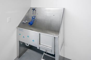 Dog grooming station