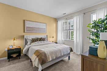 Large, light-filled windows