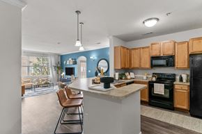 West Greenwich apartment for rent - A kitchen with a black refrigerator and wooden cabinets.