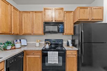 Designer cabinets with raised panel doors