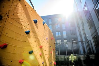 Fitness climbing wall