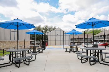 Picnic area with barbecue grills