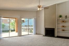 Living area with fireplace