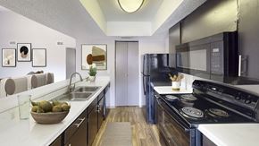 Dallas apartment for rent - A modern kitchen with black appliances and a bowl of fruit on the counter.