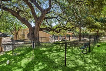 Tree in a yard with a fence