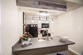 Dallas apartment for rent - a kitchen with a sink and a counter top and a refrigerator